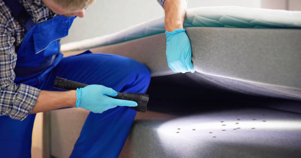 Insect Control in Lake Worth, TX