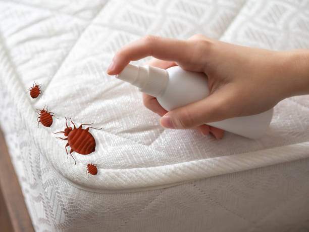 Best Affordable Pest Control Services  in Lake Worth, TX