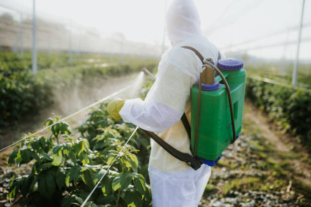 Best Residential Pest Control  in Lake Worth, TX